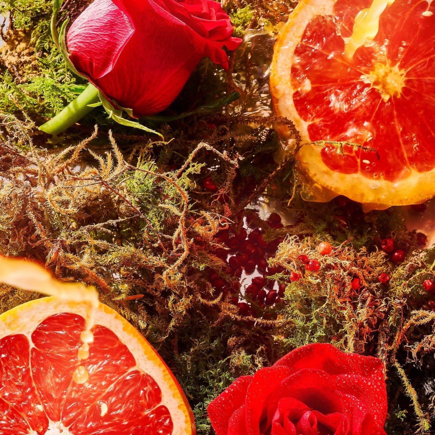 A Midsummer Dream Edp