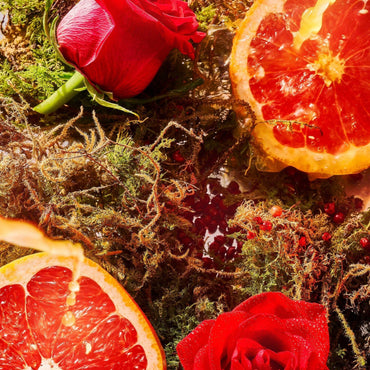 A Midsummer Dream Edp