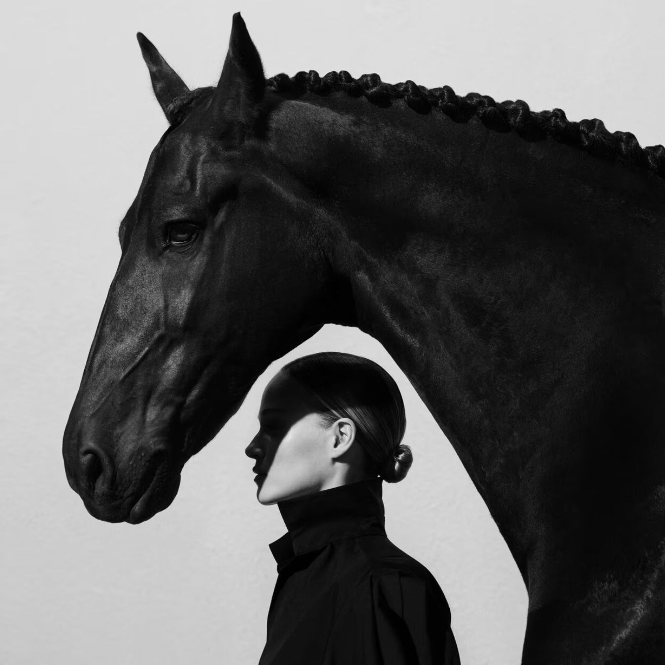 Stallion Leather Suede Eau de Parfum