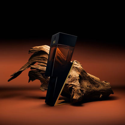 Bad Boy Elixir Eau De Parfum Elixir