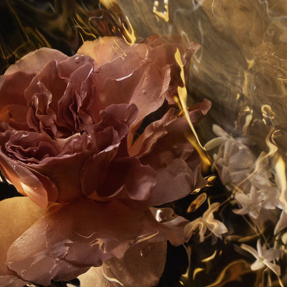 Santal Royal - Eau de Parfum
