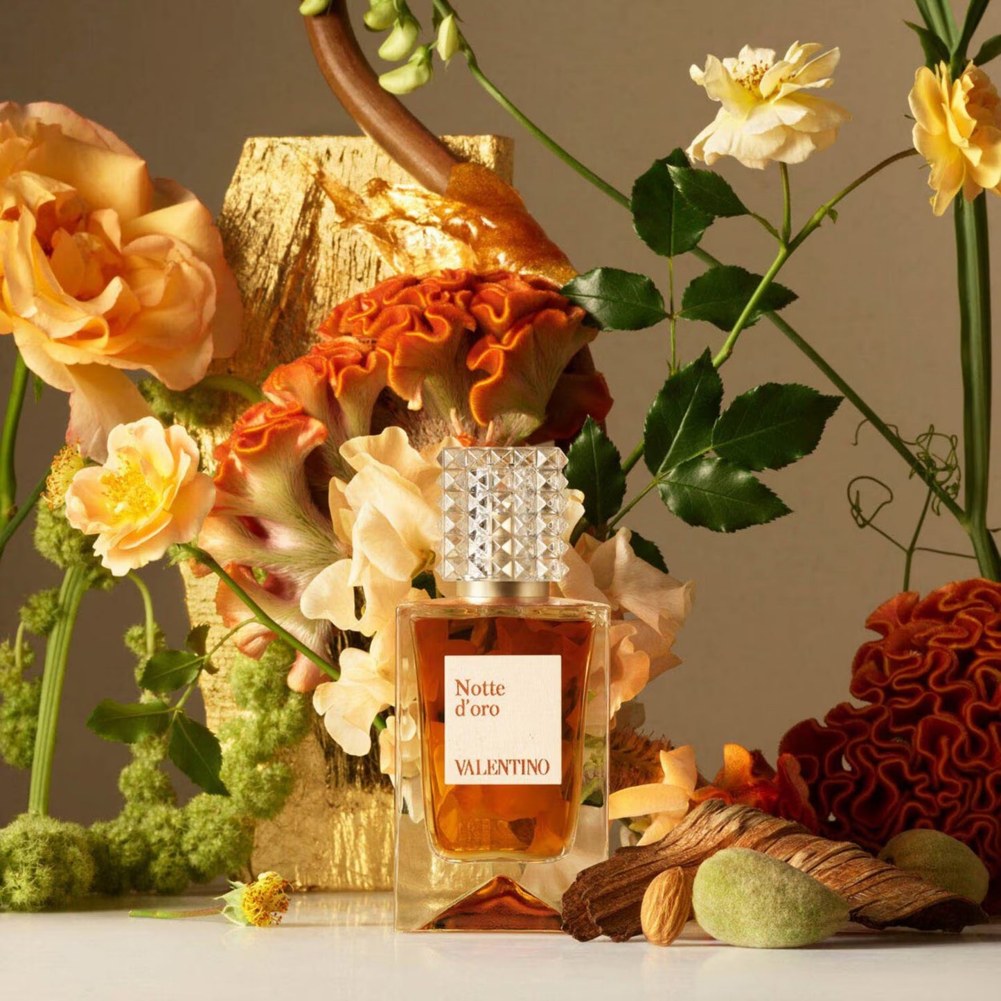 Anatomy Of Dreams Notte D'Oro Parfum