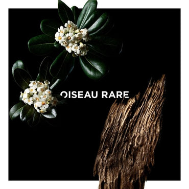Oiseau Rare EDP