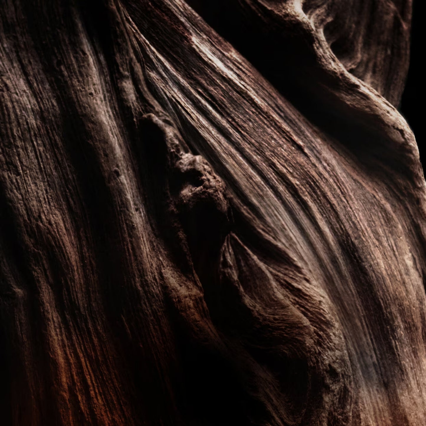 Oud Essentiel - Eau de Parfum