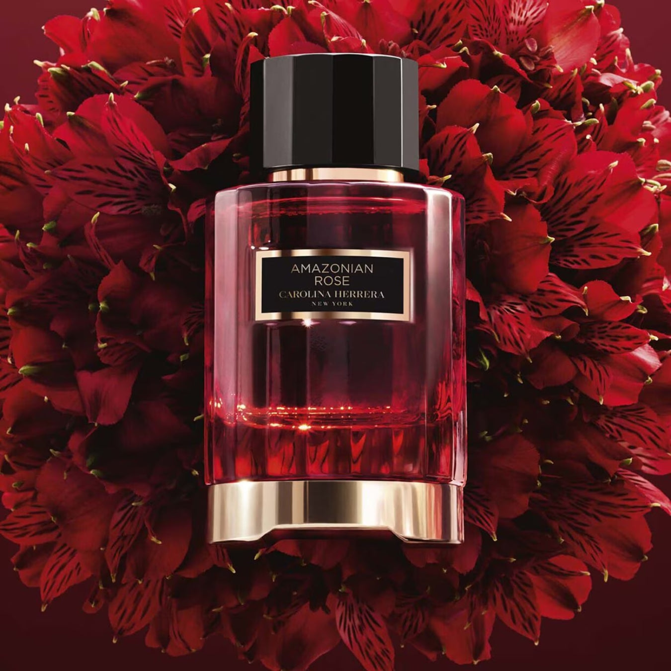 Amazonian Rose - Eau de Parfum