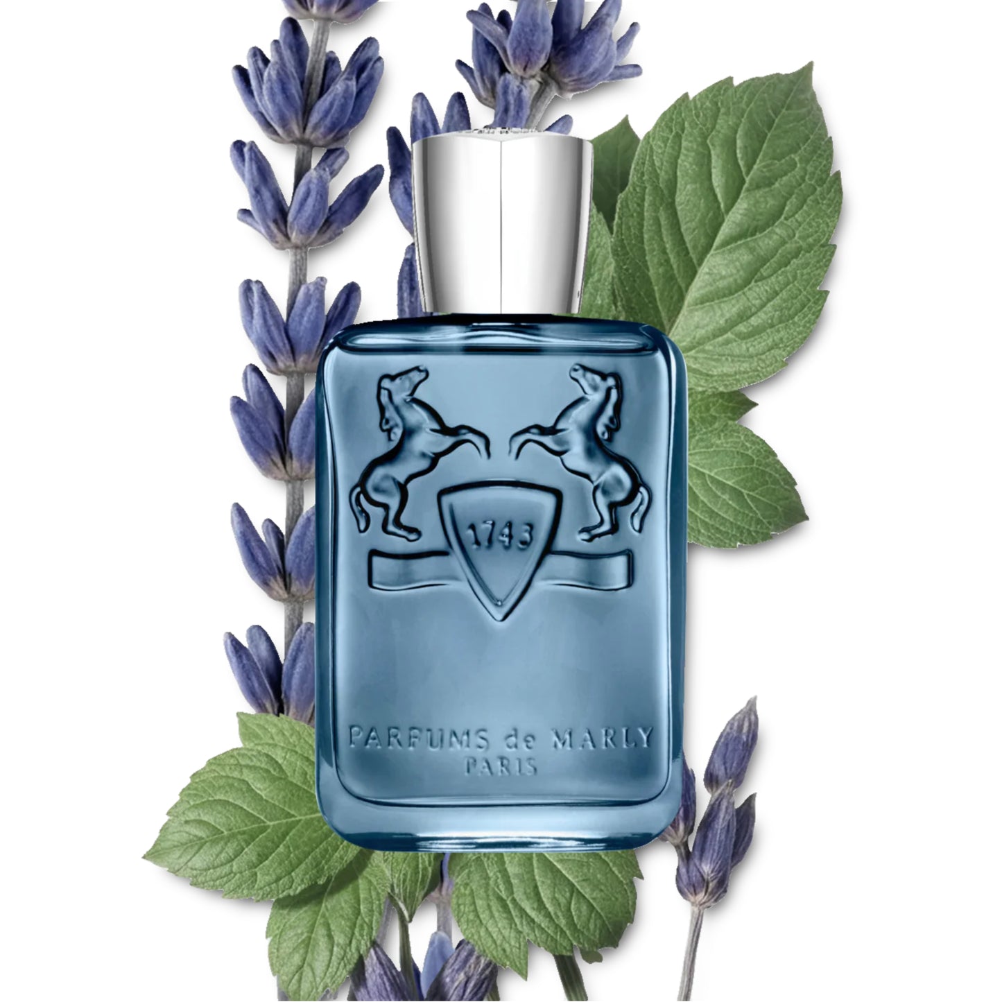 SEDLEY EAU DE PARFUM