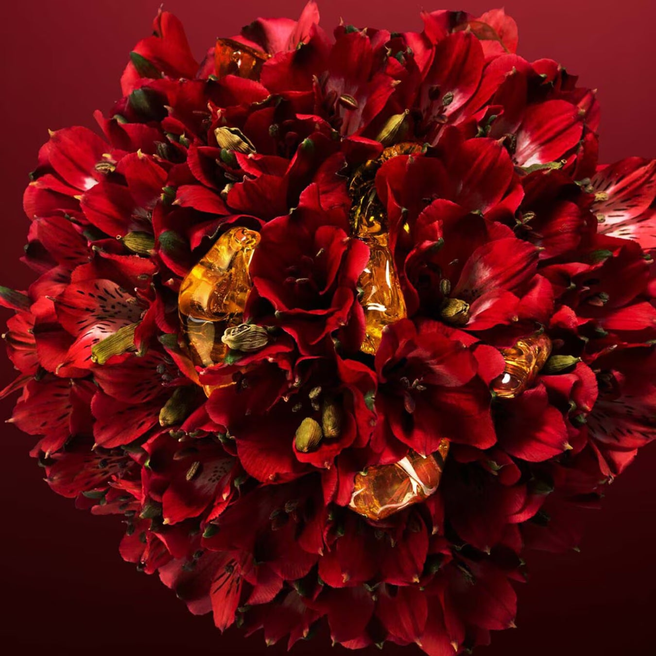 Amazonian Rose - Eau de Parfum
