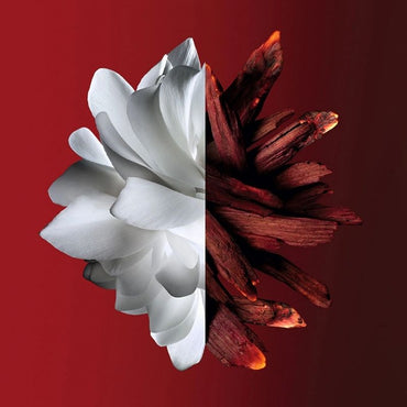 L'INTERDIT ROUGE EDP