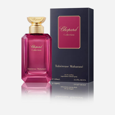 Angélique Begum EDP