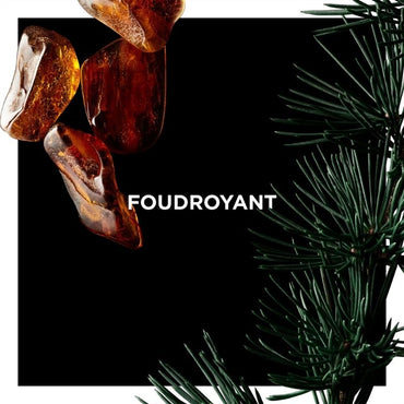 Foudroyant EDP