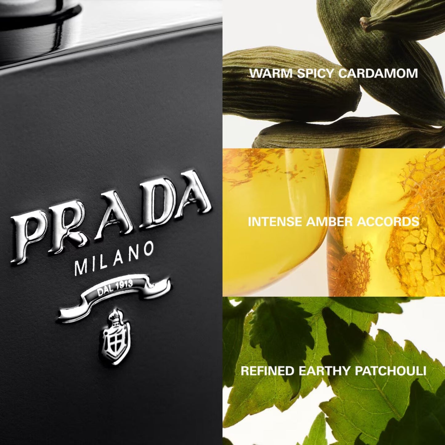 L'Homme Prada Intense