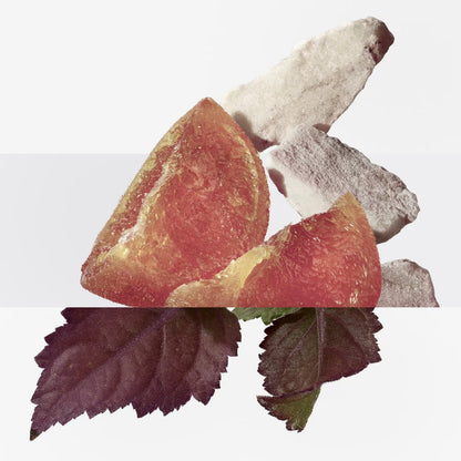 Elixir des Merveilles Eau de parfum