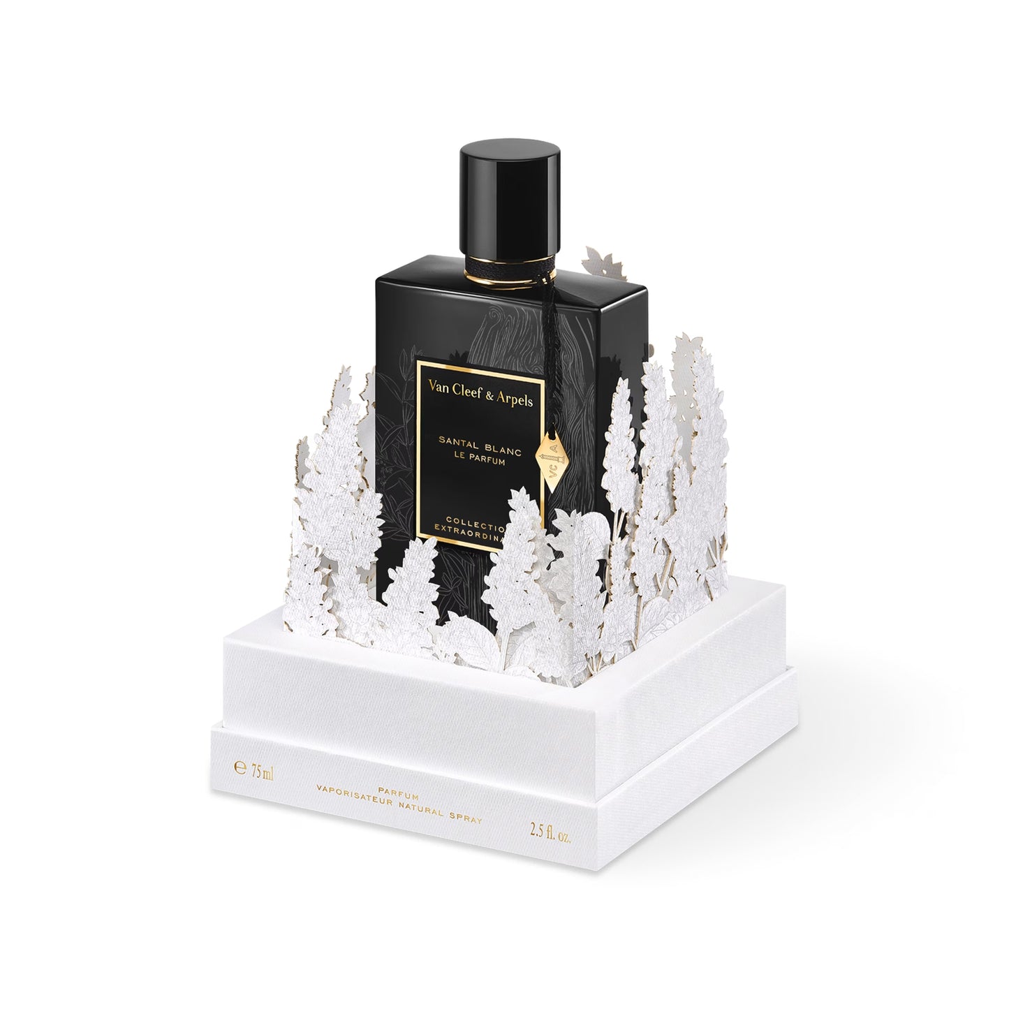 Santal Blanc Le Parfum