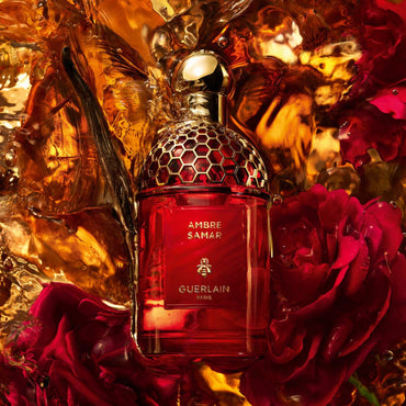 Absolus Allegoria Ambre Samar - Eau de Parfum