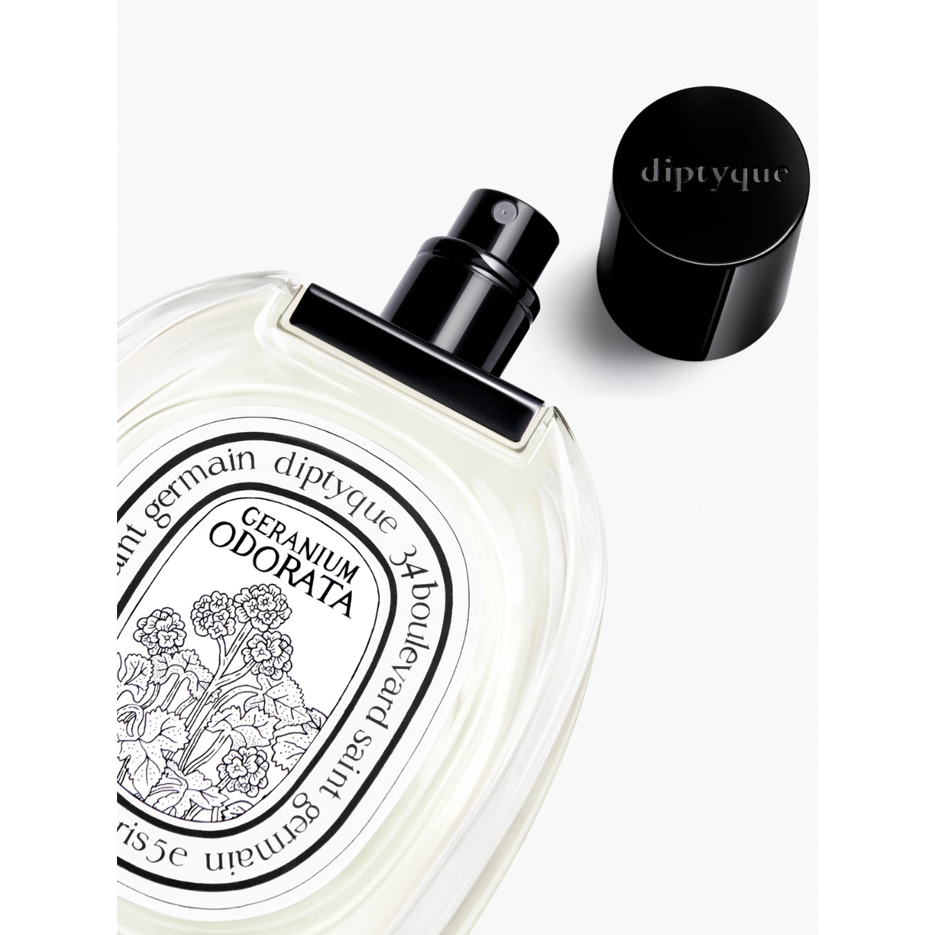GERANIUM ODORATA Eau de toilette