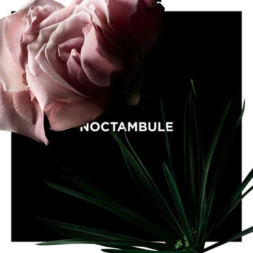Noctambule EDP