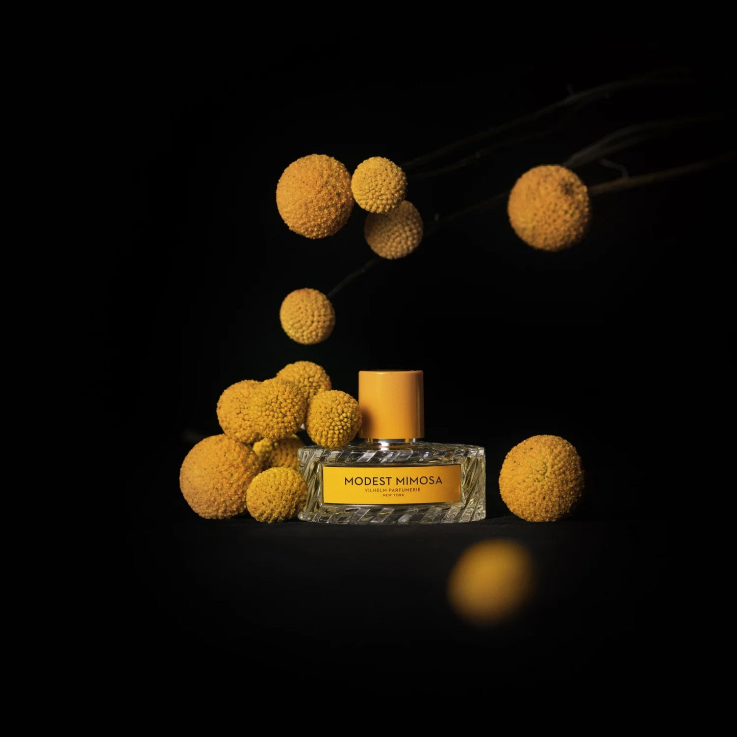 MODEST MIMOSA EAU DE PARFUM