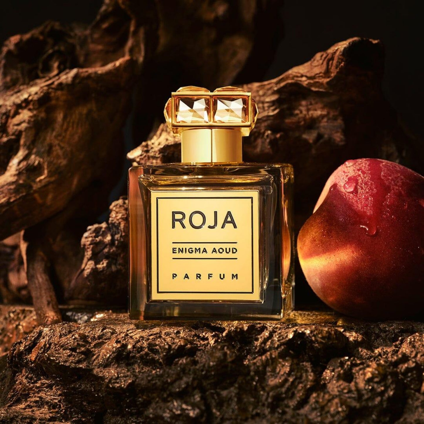 Enigma Aoud Parfum