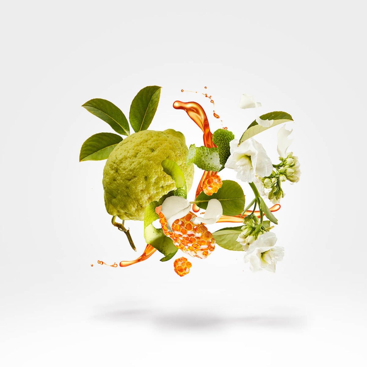 Naxos Eau de Parfum