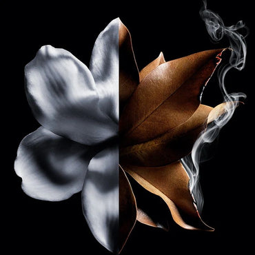 L'INTERDIT ABSOLU EDP