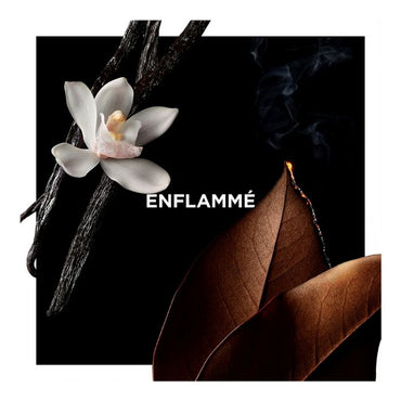 Enflammé EDP