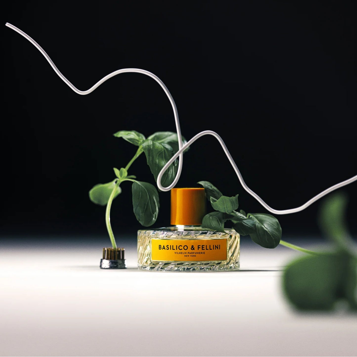 BASILICO & FELLINI EAU DE PARFUM