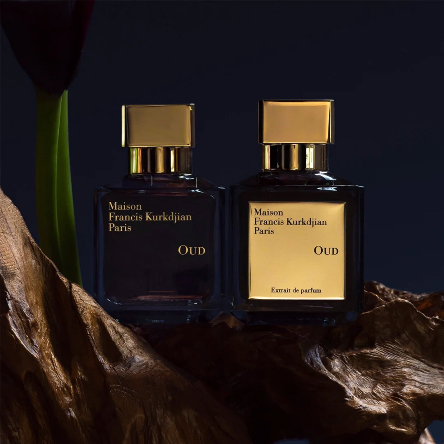 OUD Eau de parfum