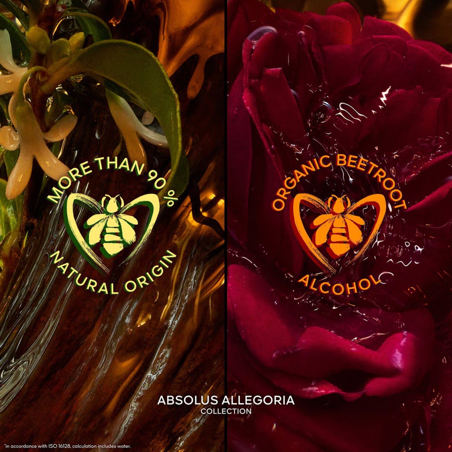 Absolus Allegoria Ambre Samar - Eau de Parfum