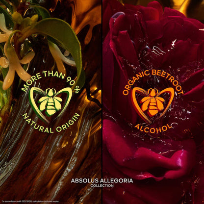 Absolus Allegoria Ambre Samar - Eau de Parfum