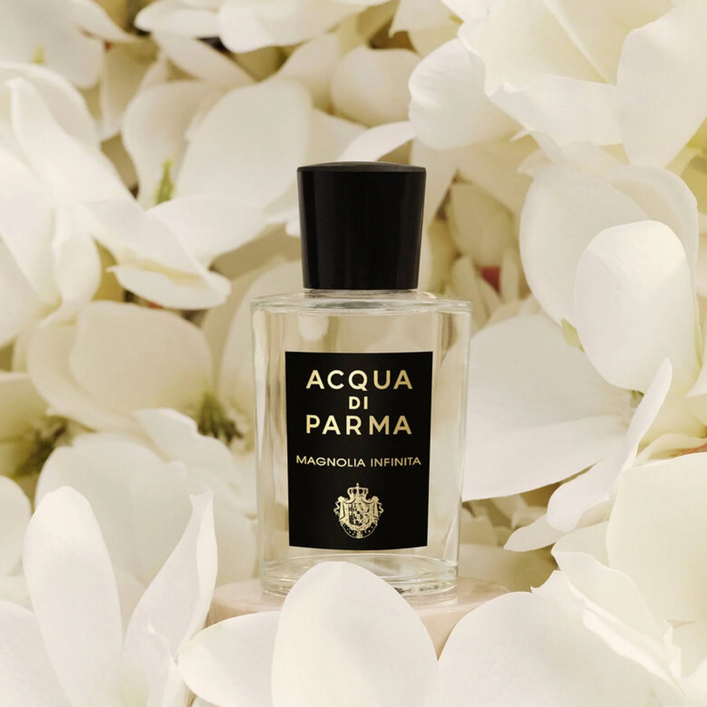 MAGNOLIA INFINITA EDP