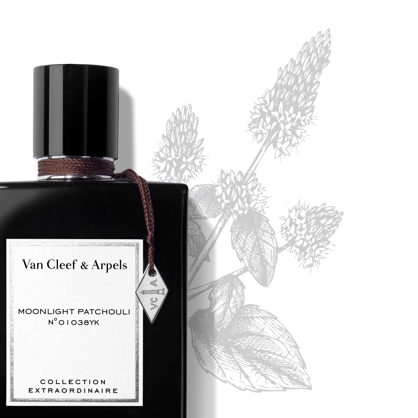 Moonlight Patchouli Eau de Parfum