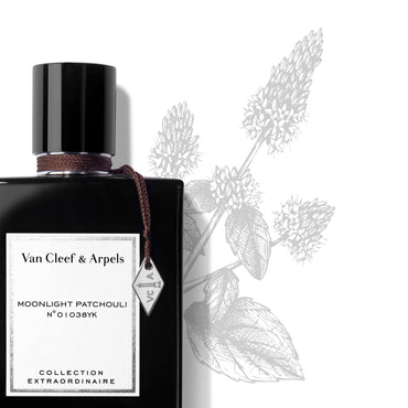 Moonlight Patchouli Eau de Parfum
