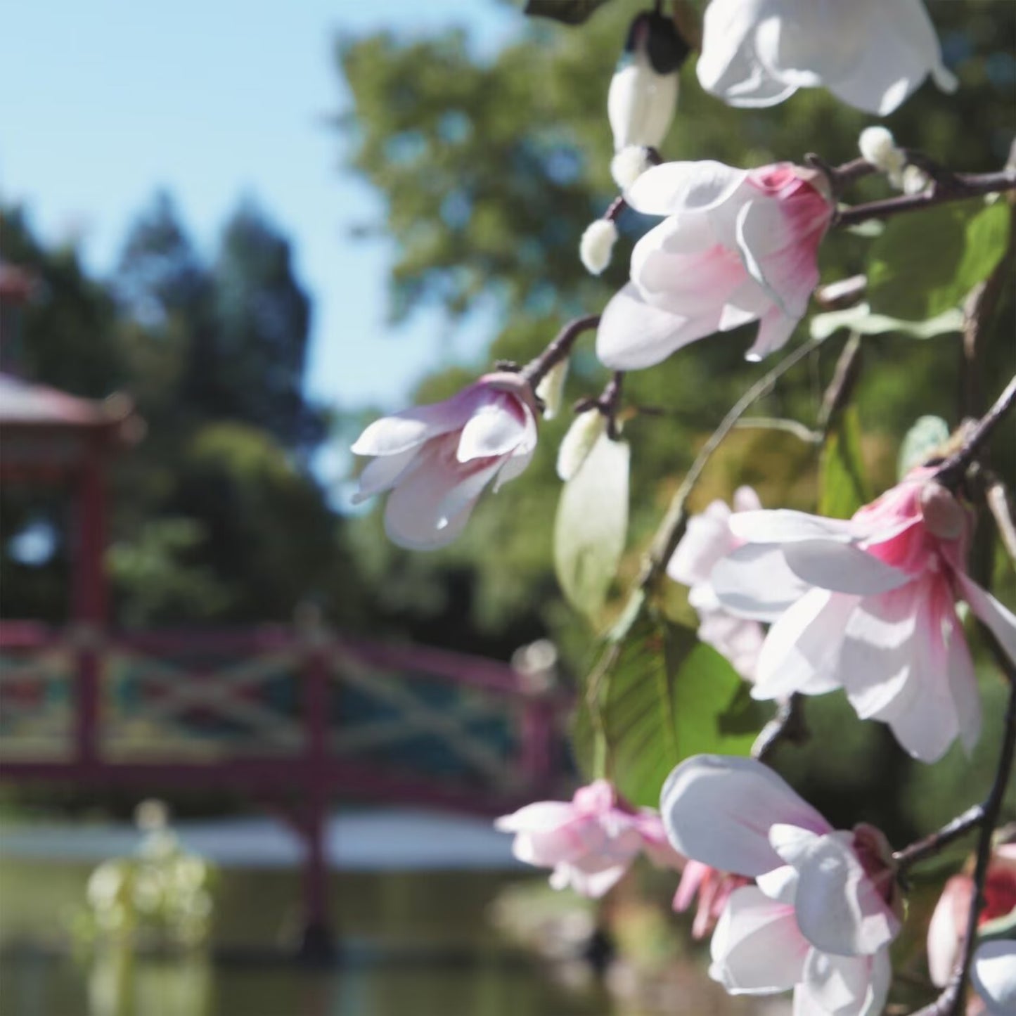Springtime In the Park - Eau De Toilette