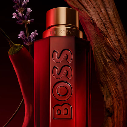 BOSS The Scent Elixir parfum intense