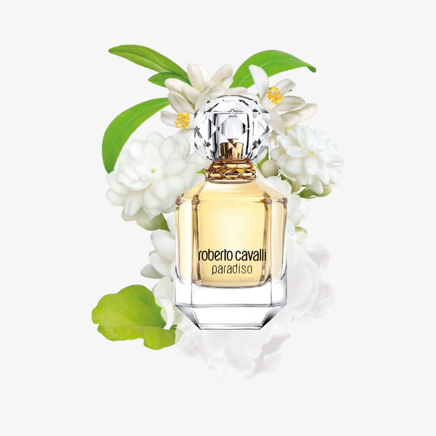 ROBERTO CAVALLI PARADISO EAU DE PARFUM