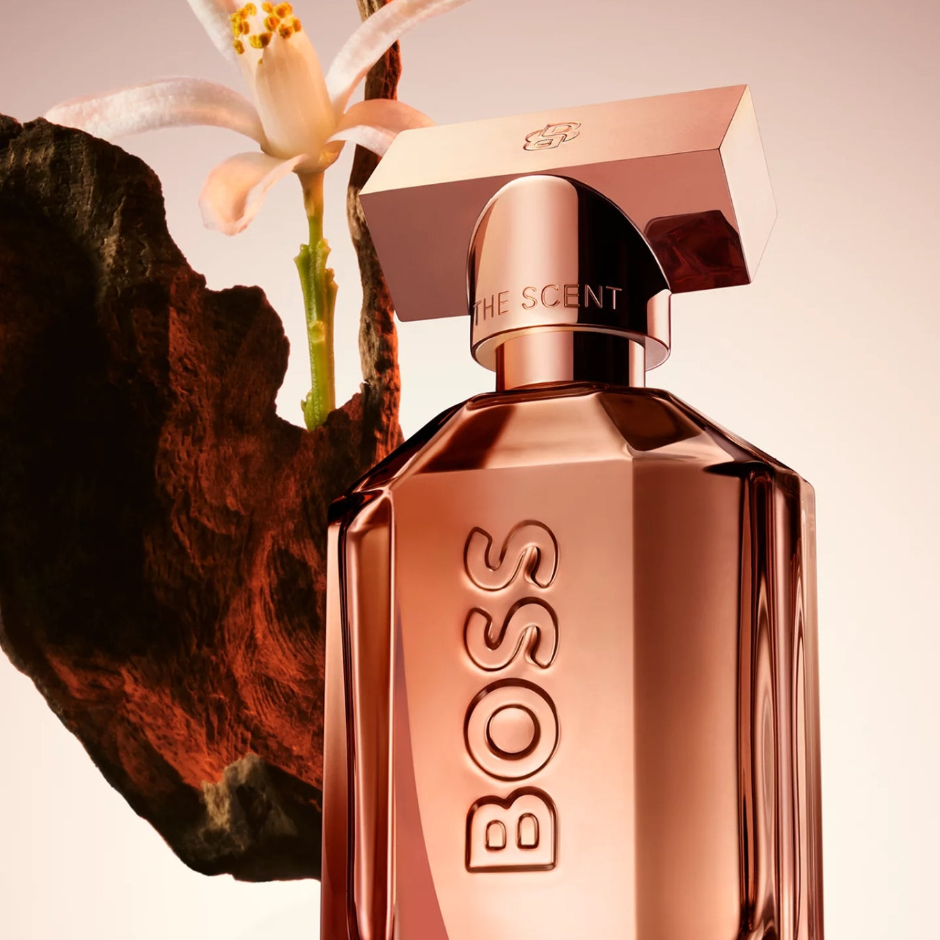 The Scent Parfum