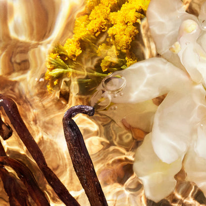 Aqua Allegoria Forte: Bosca Vanilla - Eau de Parfum