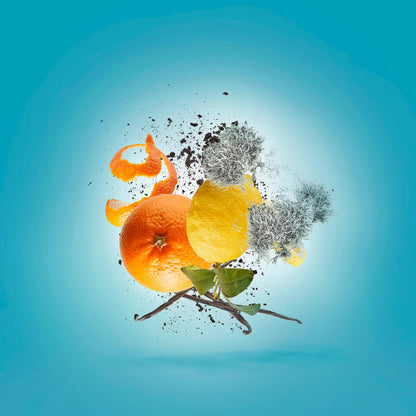 Erba pura Eau de Parfum