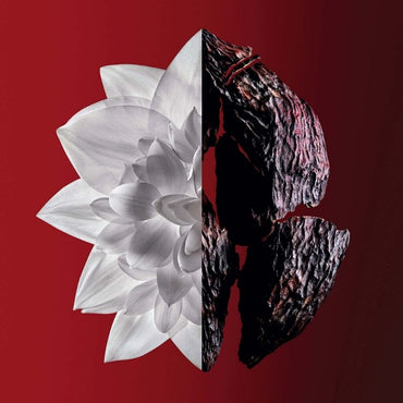 L'INTERDIT ROUGE ULTIME EDP