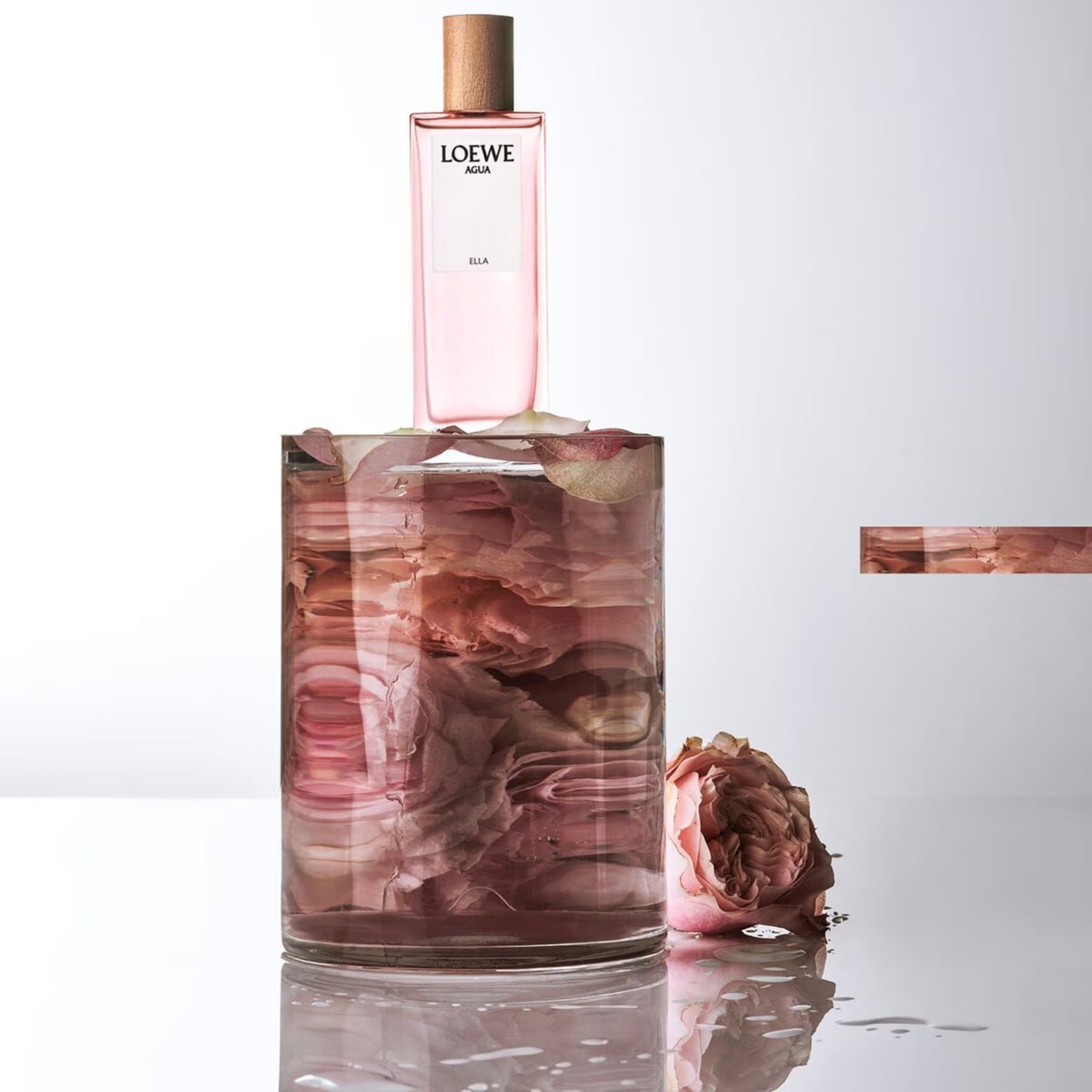 Agua Ella Eau De Toilette