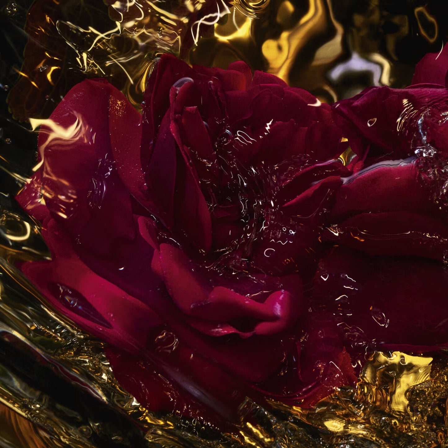 Rose Amira - Eau de Parfum