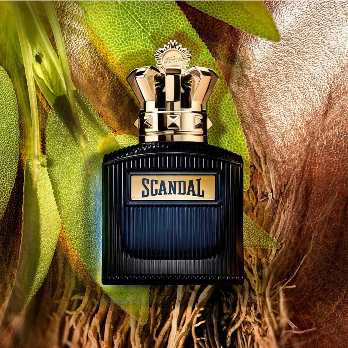 Scandal Intense Eau de Parfum Intense For Him