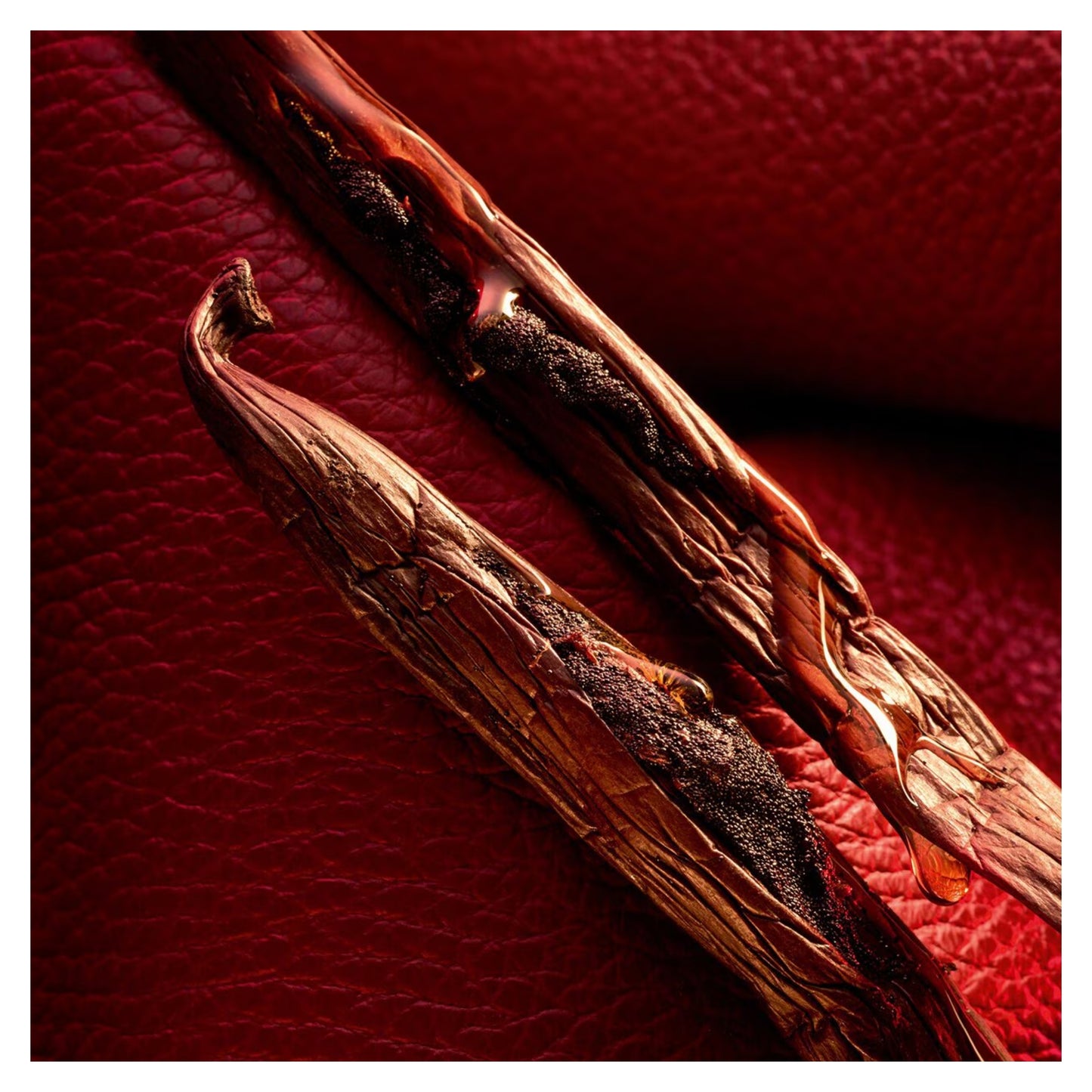 Habit Rouge Le Parfum