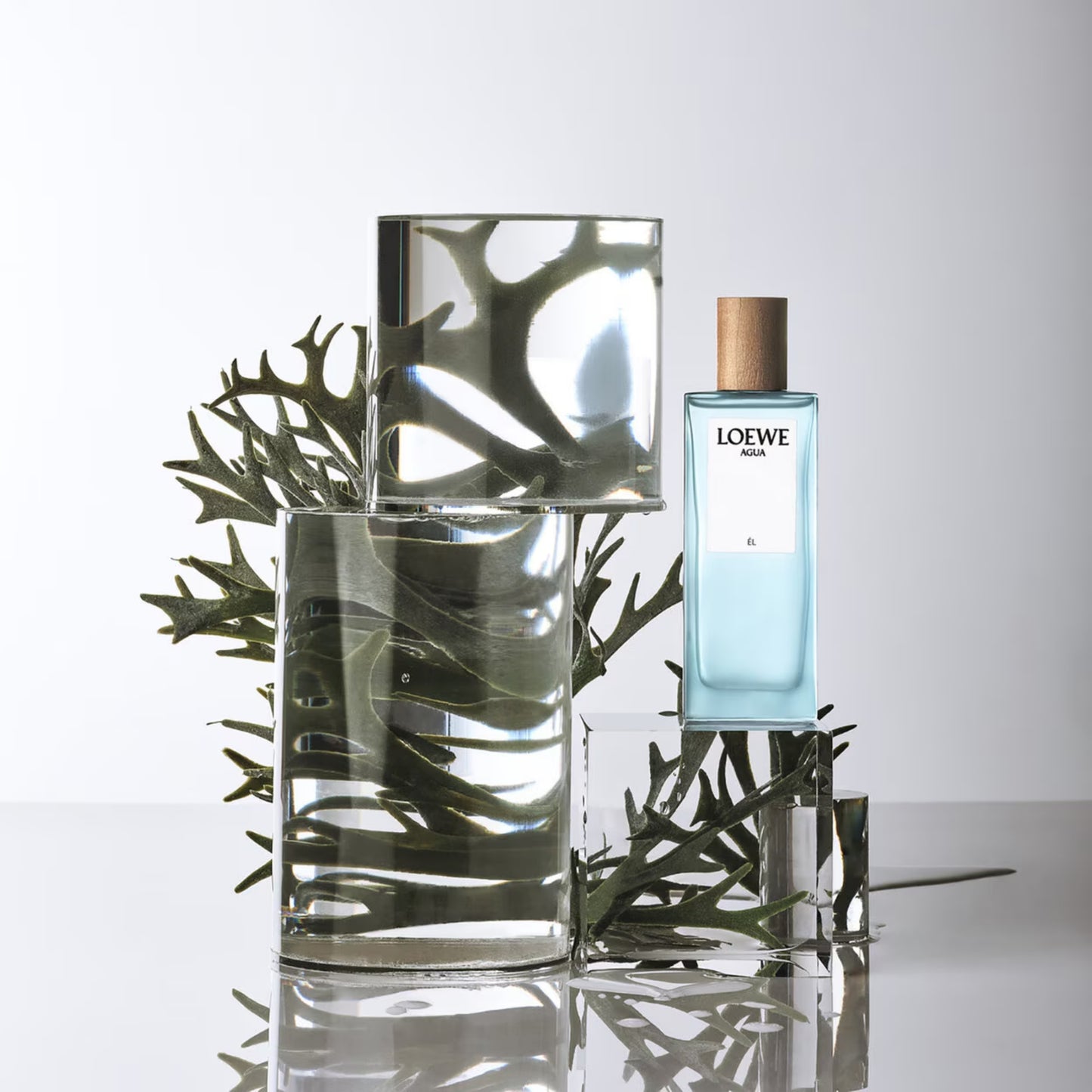 Agua El Eau De Toilette