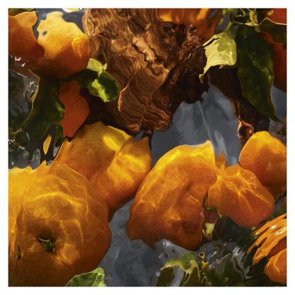 Aqua Allegoria Forte – Mandarine Basilic