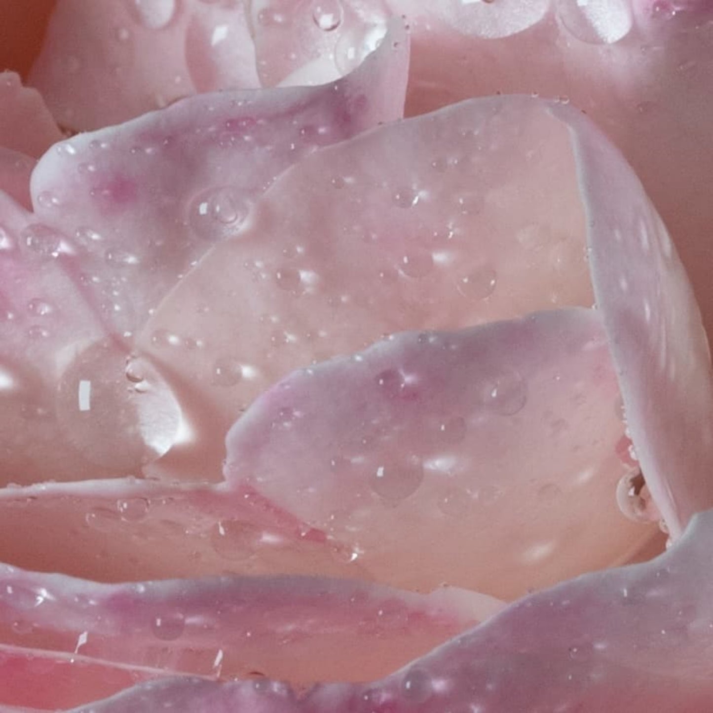 l'eau À la rose Eau de toilette