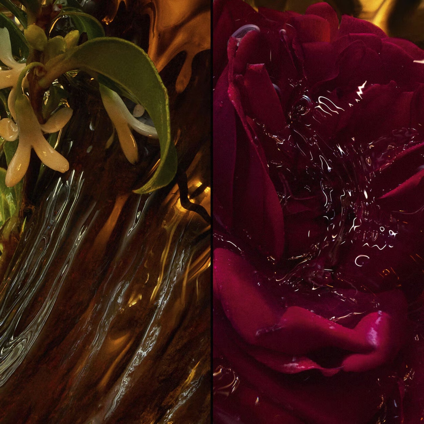 Rose Amira - Eau de Parfum